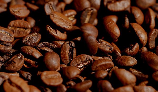 Vidéo-pour-Brulerie-d'Alré_nantes_videaste